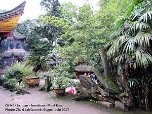 Emeishan 064
